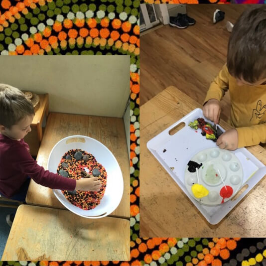 Darwin Montessori