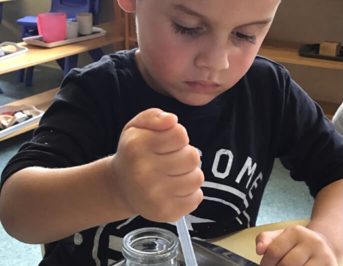 Darwin Montessori