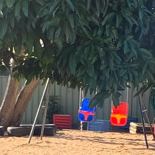 Darwin Montessori