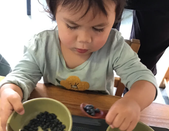 Darwin Montessori