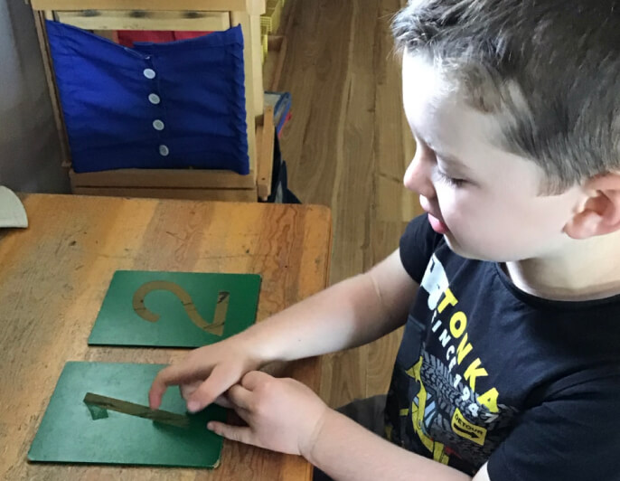Darwin Montessori