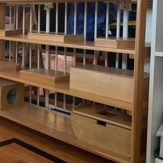 Darwin Montessori