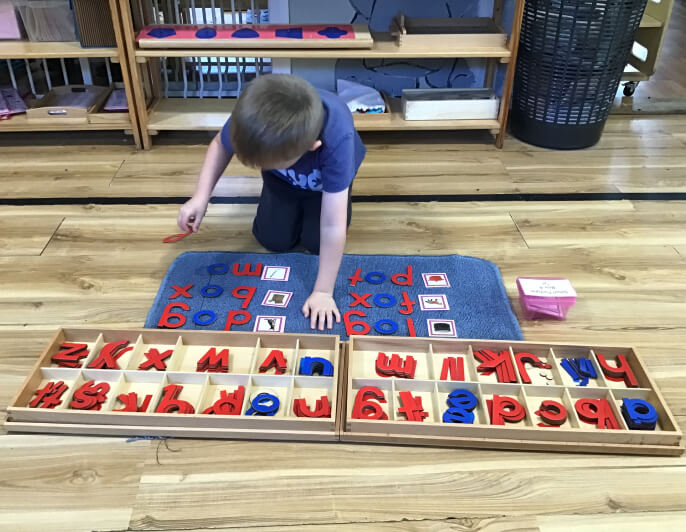 Darwin Montessori